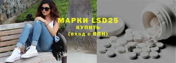 PSILOCYBIN Бердск