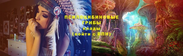 бошки Нефтекумск