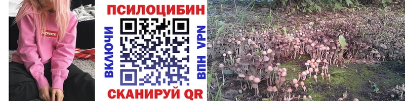 где купить наркотик  Армянск  Галлюциногенные грибы Psilocybine cubensis 